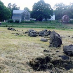 Field-and-Fence-Restoration-01