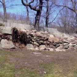 Fish-Pond-and-Rock-Garden-Restoration-01